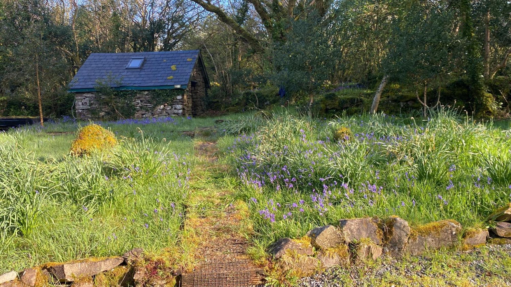 Villa Sligo Forest Retreat Exterior foto