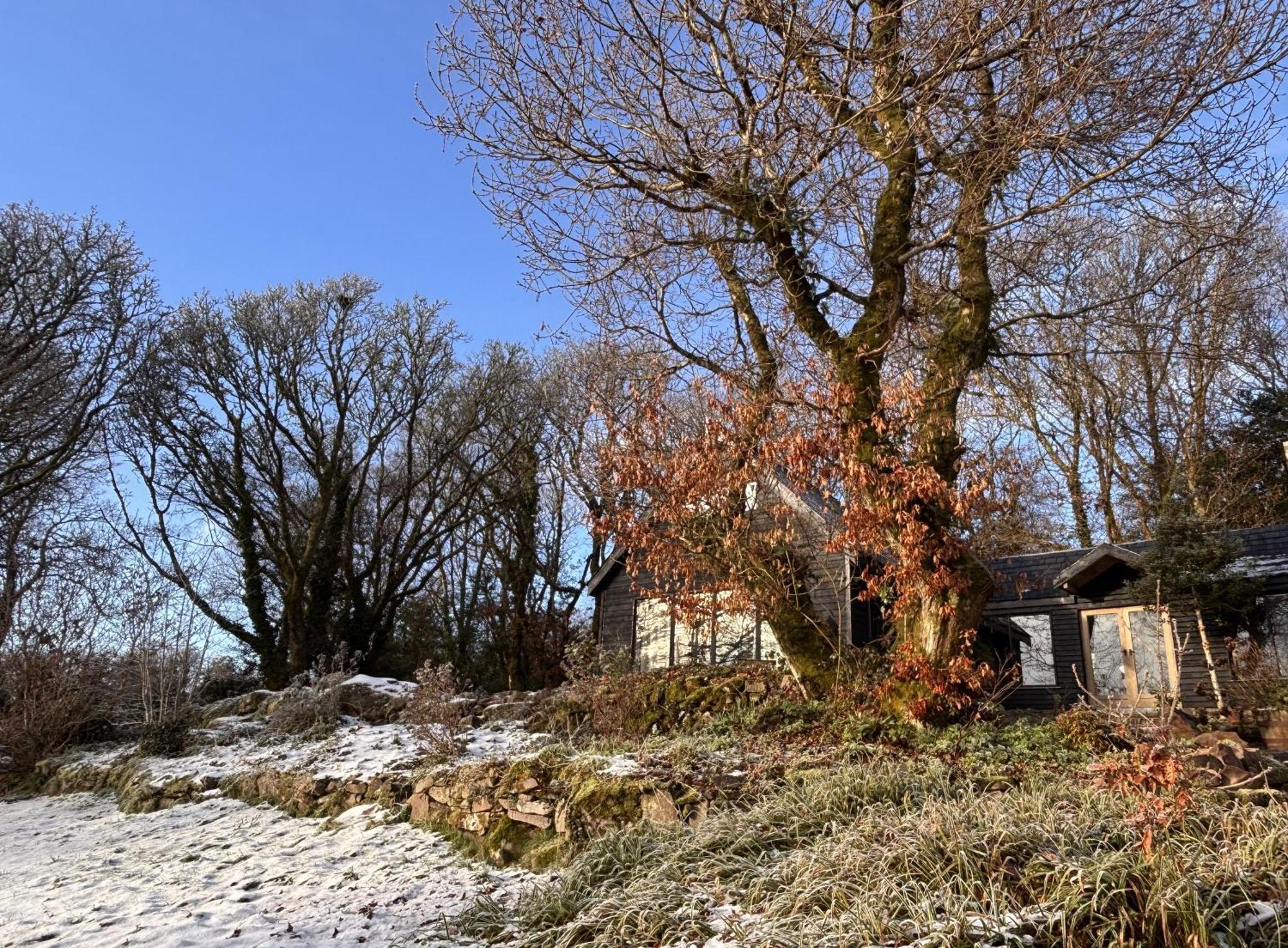 Villa Sligo Forest Retreat Exterior foto